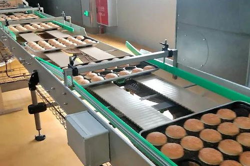 囍——恭祝四川食品廠十萬級凈化車間成功投產(chǎn)，邁向綠色健康新紀元